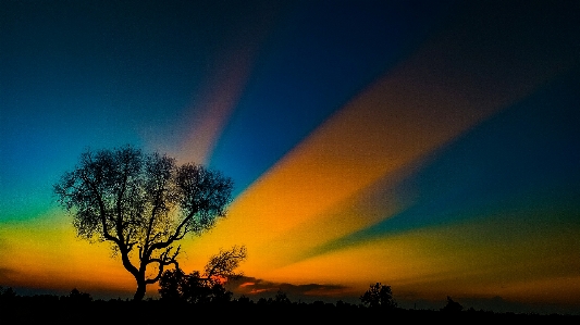 Tree sky nature natural landscape Photo