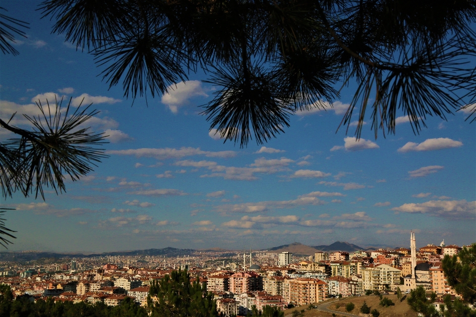 şehir yerleşim binalar minareler
