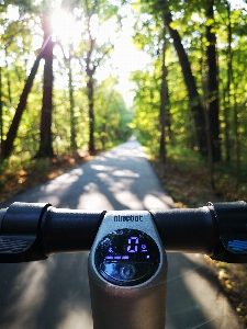 Roller wald sonnig tag Foto