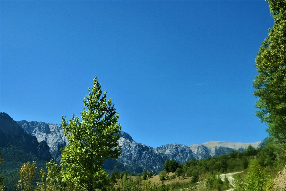 Mountains nature green highs