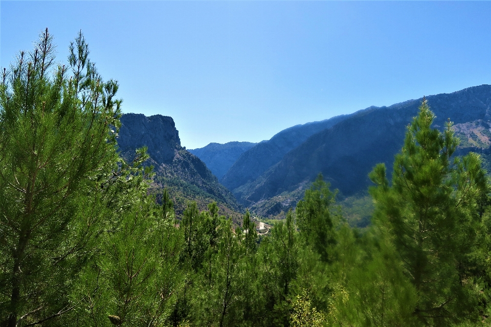 Mountains nature green highs