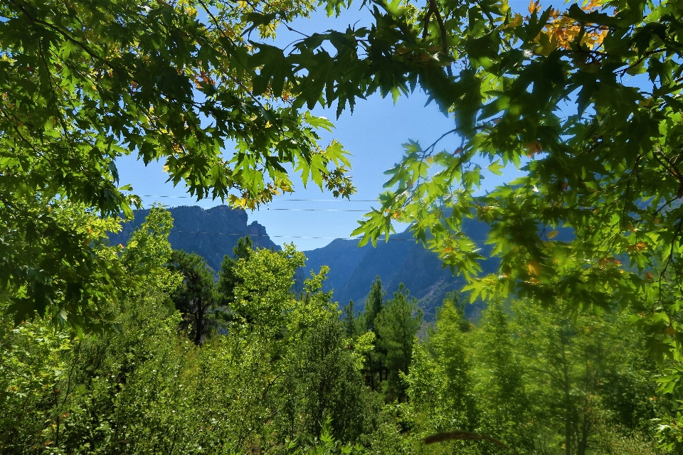 Mountains nature green highs