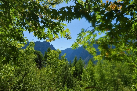 Mountains nature green highs Photo