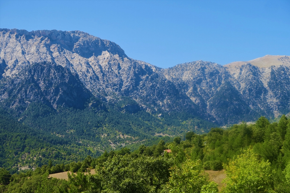 Mountains nature green highs