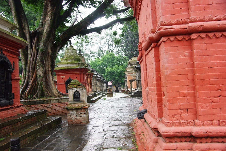 Nepal monumento alberi piovere