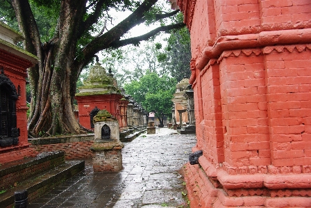 Nepal monument trees rain Photo