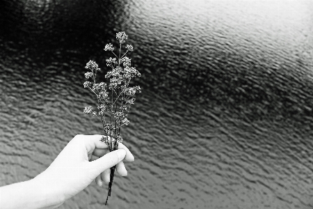 Woman hand holding holds Photo