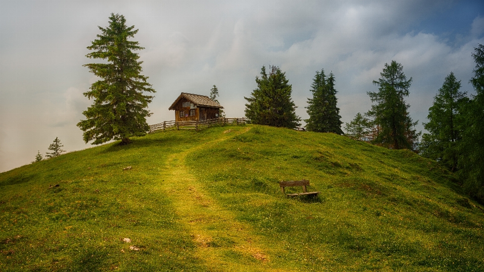 Natural nature green landscape