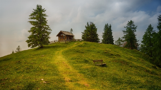 Natural nature green landscape Photo