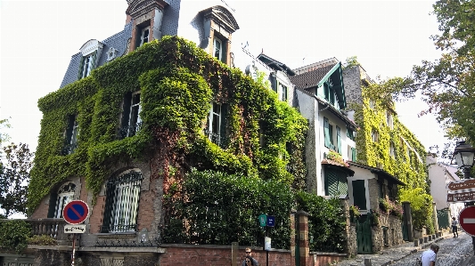 Montmatre house ivy neighbourhood Photo