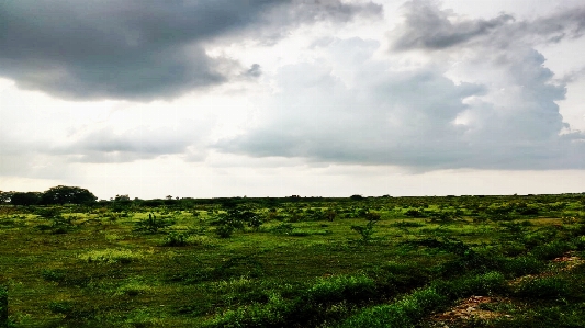 Nature sky natural landscape green Photo