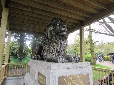 Foto Leão de metal
 estátua escultura árvore