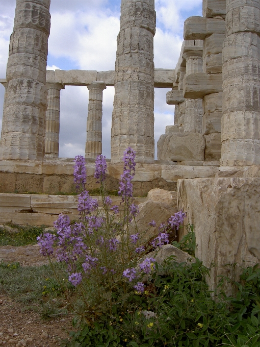 Grécia templo de poseidon
 ruínas história antiga
