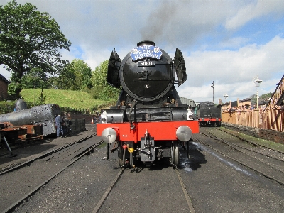 Natural transport locomotive railway Photo