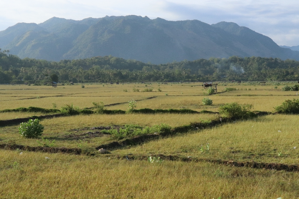 Mountains fields green landscapes