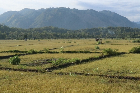 Mountains fields green landscapes Photo