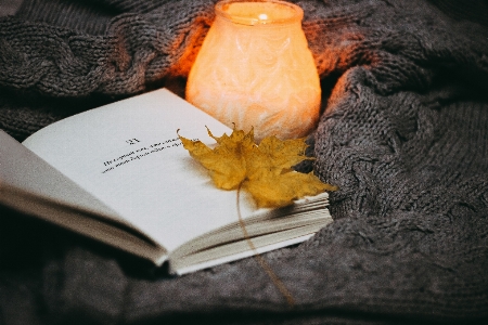 Autumn book leaf leaves Photo