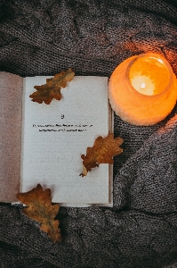 Autumn book leaf leaves Photo