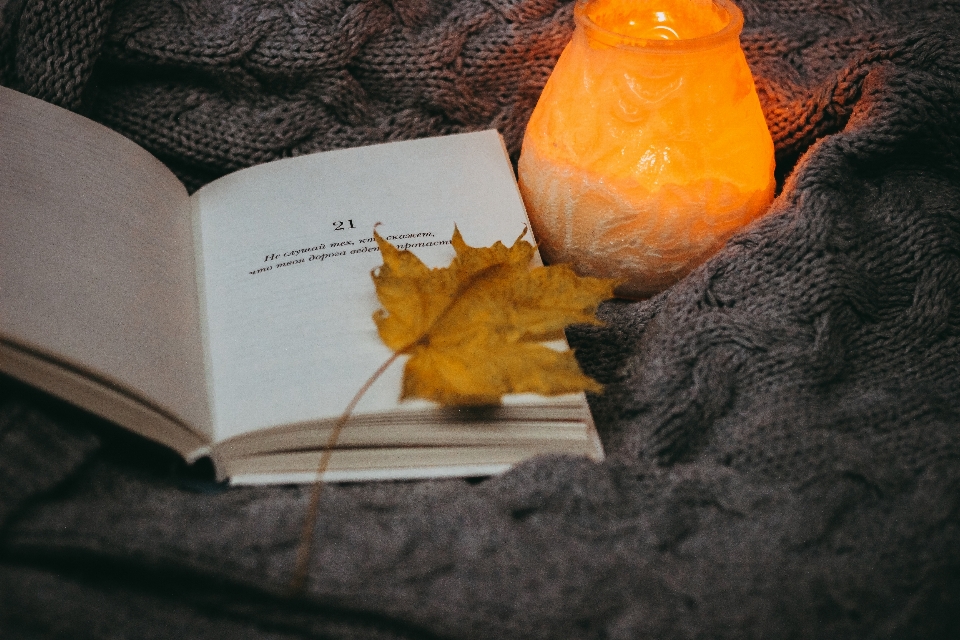 Autumn book leaf leaves