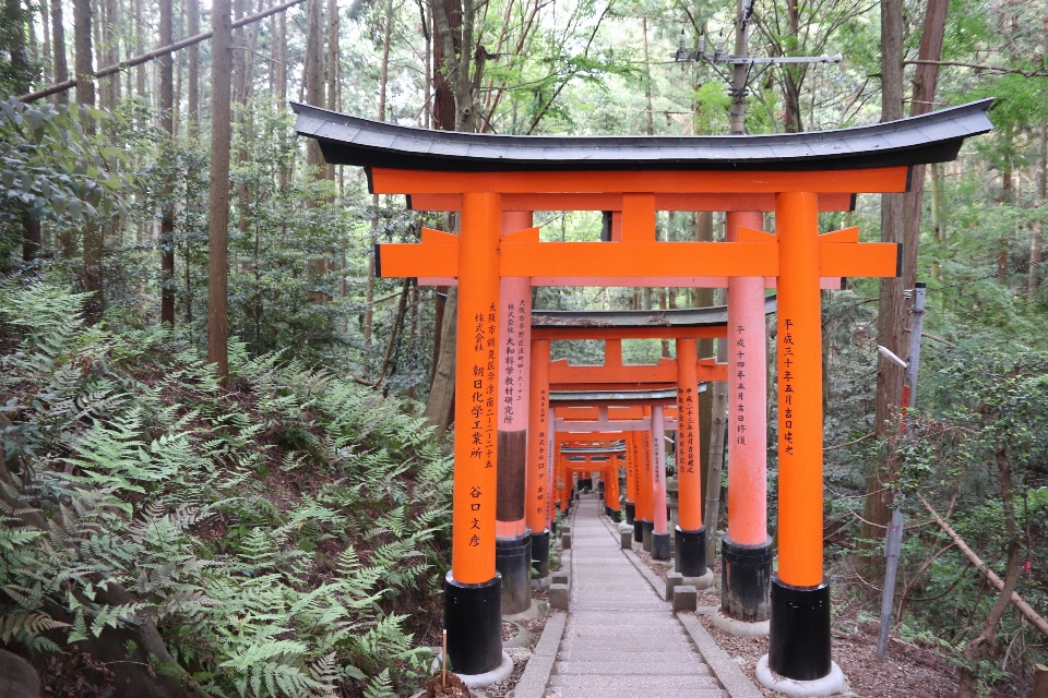 Japan kyoto shrine mountain