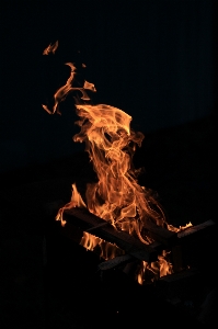 Fire flame embers bonfire Photo