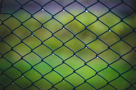 Greens grass mesh ceiling Photo