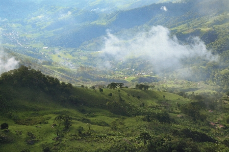 Valley mountains trees forest Photo