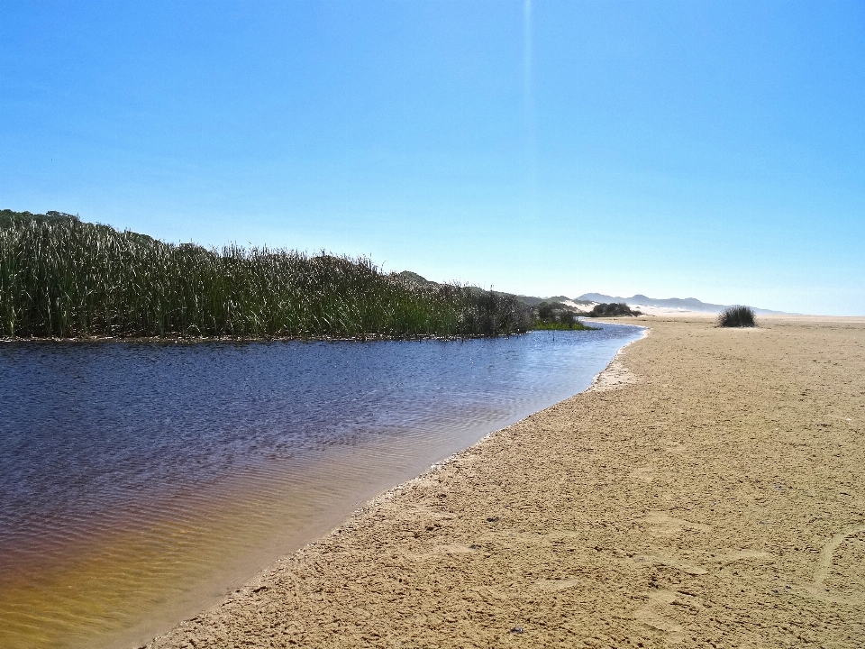 Beach water sand estuary