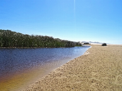 Beach water sand estuary Photo