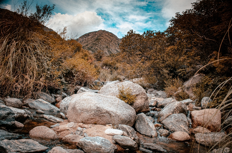 Landscape water stream nature