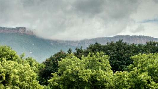 Natural nature vegetation sky Photo