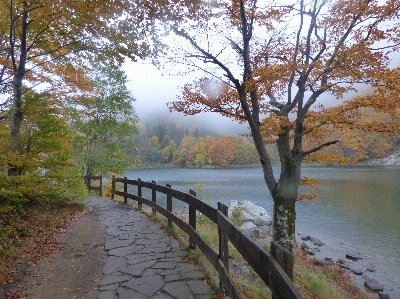 Lake saint water autumn Photo