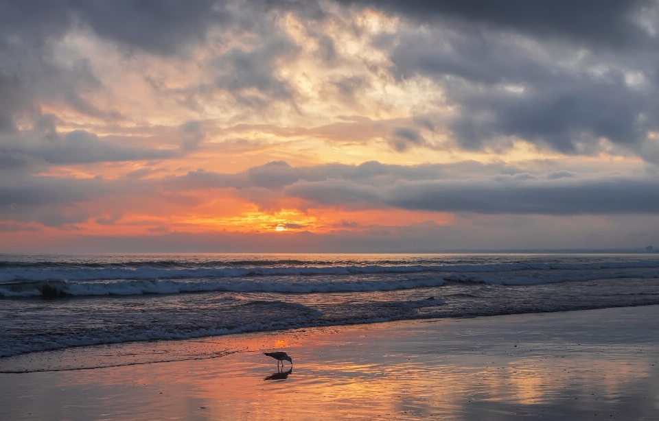 Ocean sunset sky body of water