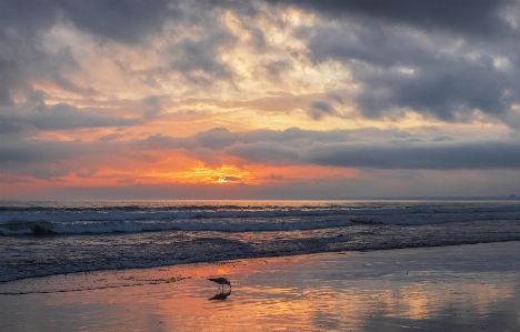 Ocean sunset sky body of water Photo