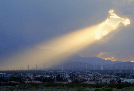 Palm spring sky cloud Photo