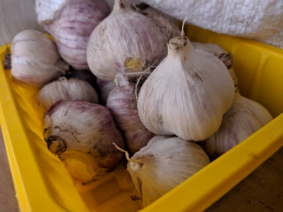 Zdjęcie Warzywa żywność naturalna
 warzywo