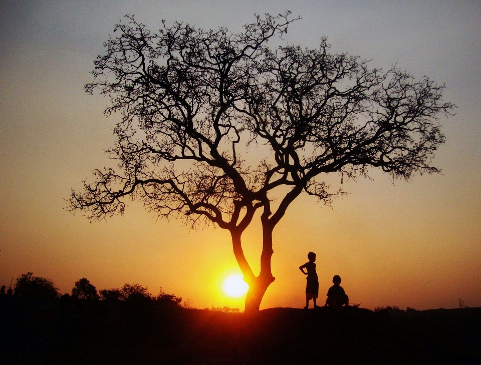 Tree sky people in nature