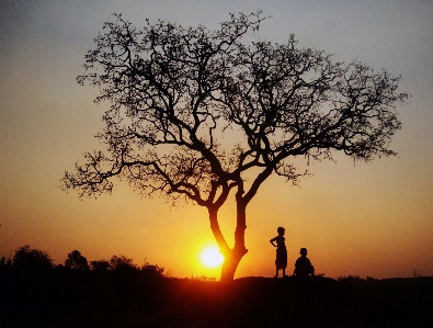 Tree sky people in nature Photo