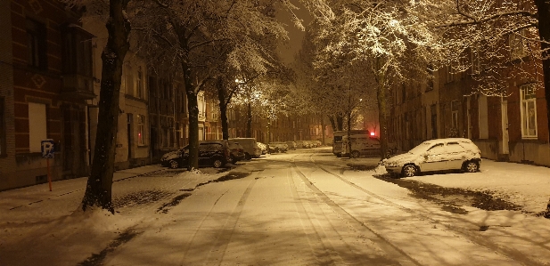 Snow belgium kortrijk winter Photo