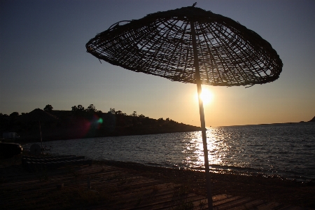 Foto Foca
 praia sol céu