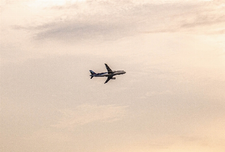 Sky airplane aircraft aviation Photo