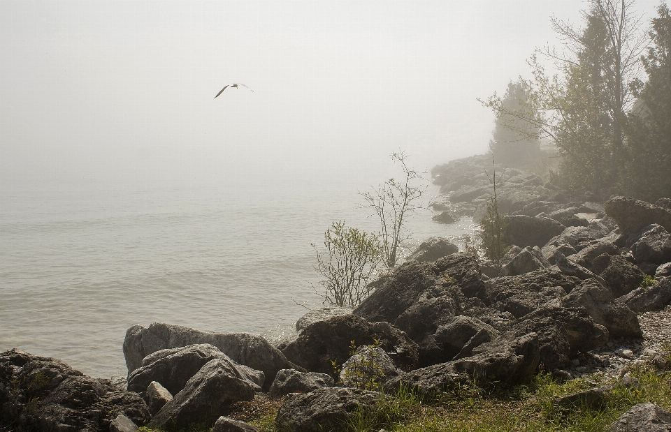 Morning fog atmospheric phenomenon sky