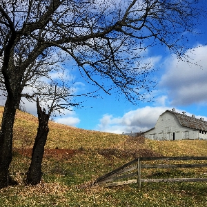 Farm galax virginia natural landscape Photo