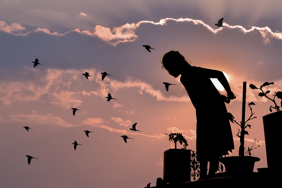 Girls evening sky silhouette