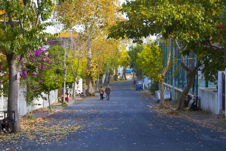 Foto Heibeliada
 musim gugur
 gugur istanbul