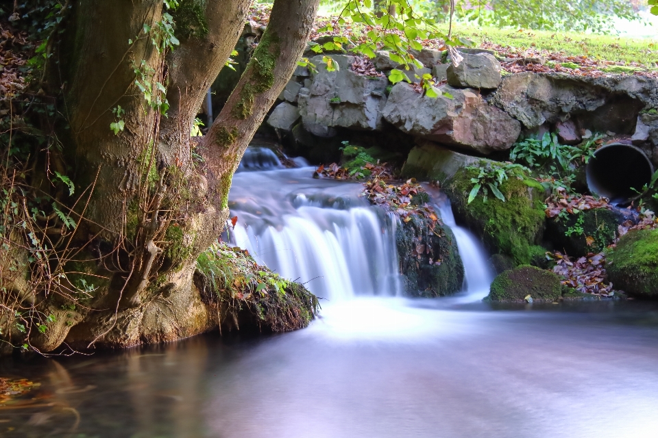 Cascata cai água cachoeira