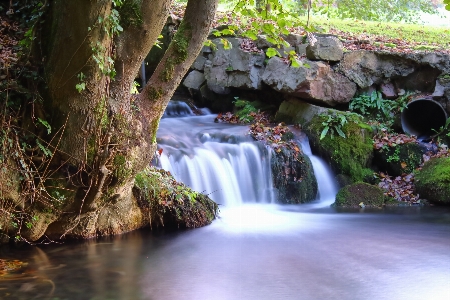 Cascade falls water waterfall Photo