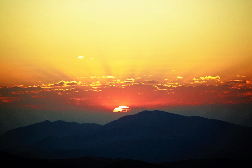 それを放棄する
 朝 自然 太陽