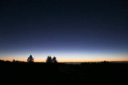 Foto Alba
 matinal
 noche
 sombrío
