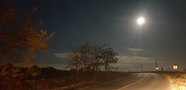 Moon view tree night Photo